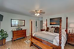 Ferns & Frogs Forest Hale