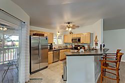 Ferns & Frogs Forest Hale