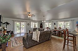 Ferns & Frogs Forest Hale