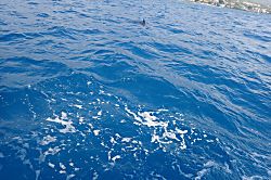 Sea Village 2nd Floor Unit