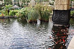 Waipouli Beach Resort F403