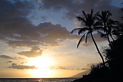 Kihei Kai Nani 11-342