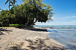 Serene Oceanfront Estate