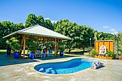 Hamakua Coast Tropical Home