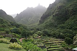 Plantation at Princeville