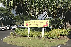 Ocnfrnt, Casa DeEmdeko Ironman