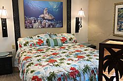 Ocnfrnt, Casa DeEmdeko Ironman