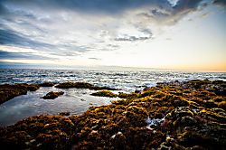 Ocnfrnt, Casa DeEmdeko Ironman