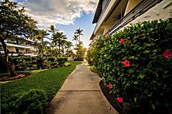 Ocnfrnt, Casa DeEmdeko Ironman