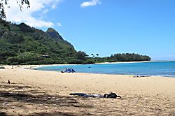 Treetop Paradise Condo Princeville Unit