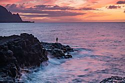 Treetop Paradise Condo Princeville Unit