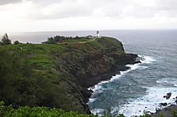 Treetop Paradise Condo Princeville Unit