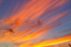 Treetop Paradise Condo Princeville Unit