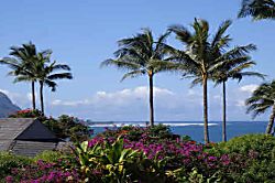 Treetop Paradise Condo Princeville Unit