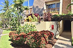 Maui Kamaole Garden Paradise Condo
