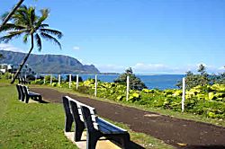 Princeville Treetop Retreat