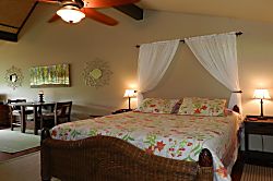 Princeville Treetop Retreat