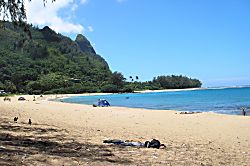 Princeville Treetop Retreat