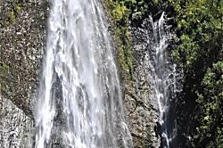 Princeville Treetop Retreat