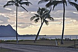 Princeville Treetop Retreat