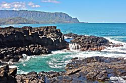 Princeville Treetop Retreat