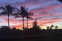 Waikoloa Colony Villas 1802