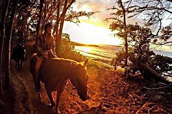 Luxurious Turtle Bay Condo