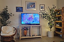 Banta Hale @ White Sands #207