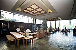 Skyline Island Colony 21st Floor Corner Unit