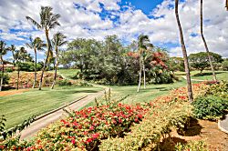 Wailea Grand Champions 87