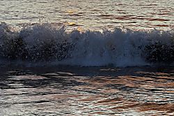 Keawakapu Condos, Honu Place