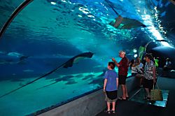 Haleakala Shores 2BD