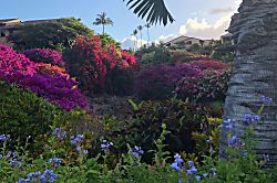 Wailea Ekahi Village 14C