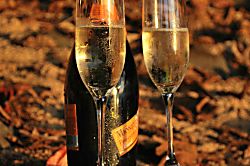 Emmalani Ct. 2 Bedroom