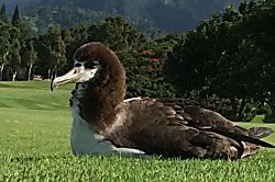 Emmalani Ct. 2 Bedroom