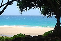 Emmalani Ct. 2 Bedroom