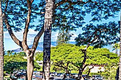 Maui Vista 2-313