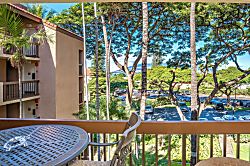 Maui Vista 2-313