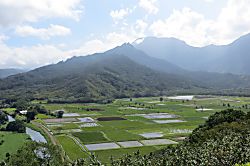 Sealodge Princeville Oceanfront View Condo