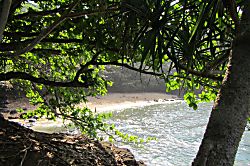 Sealodge Princeville Oceanfront View Condo