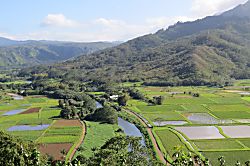 Sealodge Princeville Oceanfront View Condo
