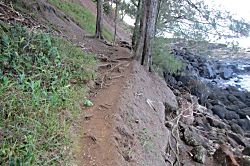 Sealodge Princeville Oceanfront View Condo