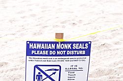 Hanalei Bay Resort 1304