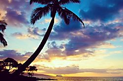 Hale Wailana ~2b/2b~ 