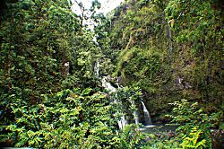 Hale Wailana ~2b/2b~ 