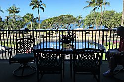 Maui Parkshore 411