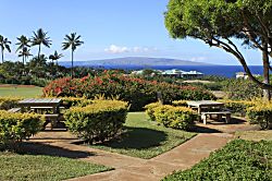 Wailea Ekolu 507