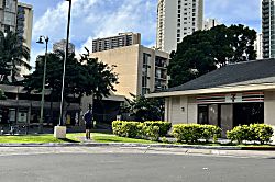 Hawaiian Monarch 3002-A