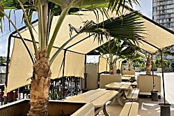 Hawaiian Monarch 3002-A