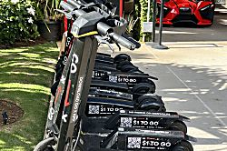 Hawaiian Monarch 3002-A